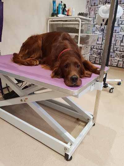 Grooming Van Image