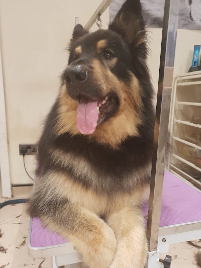 Grooming Van Image