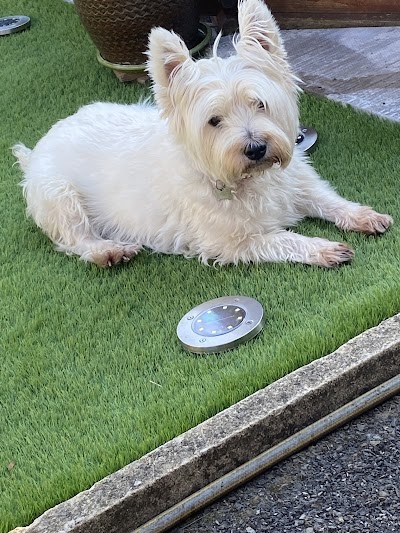 Grooming Van Image