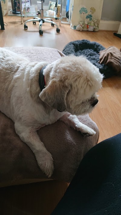 Grooming Van Image