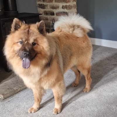 Grooming Van Image