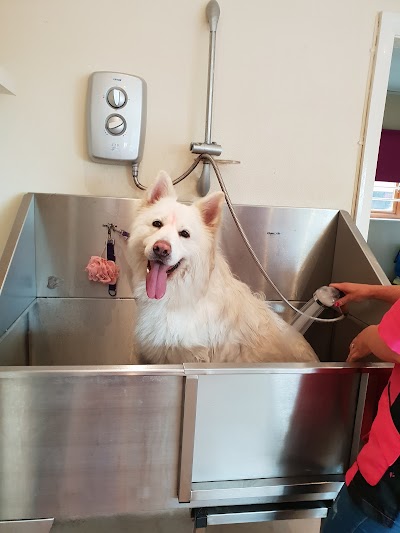 Bubbles & Barks Dog Grooming Halifax