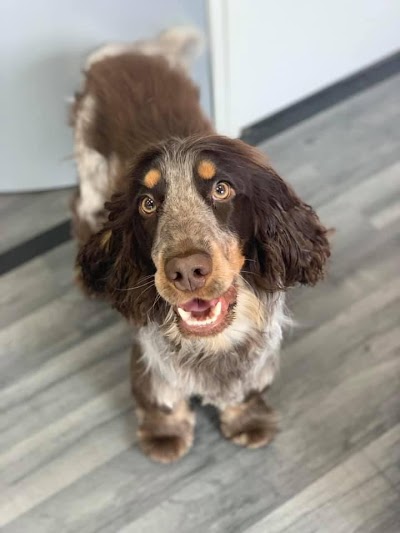 Grooming Van Image