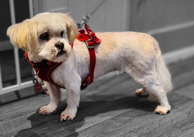 Grooming Van Image