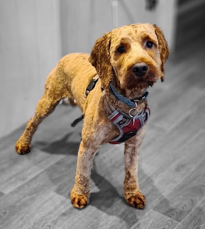 Grooming Van Image