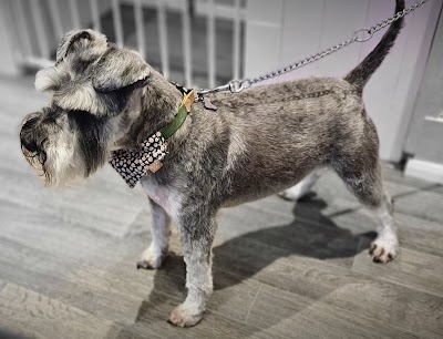 Grooming Van Image