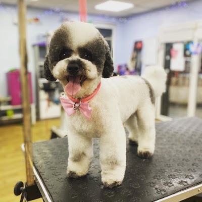Grooming Van Image