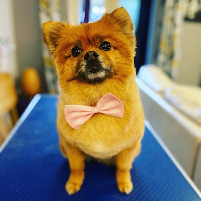 Grooming Van Image