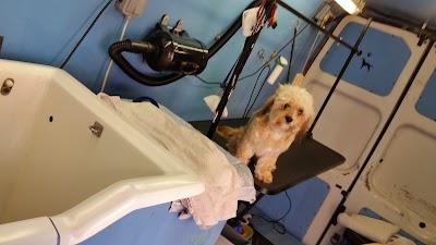 Grooming Van Image