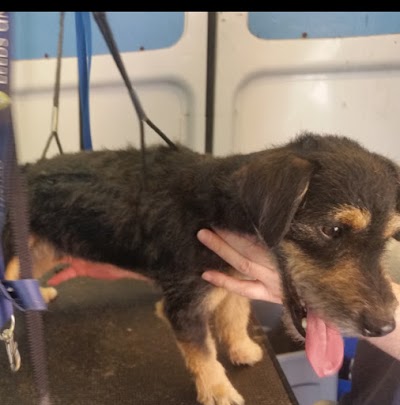 Grooming Van Image