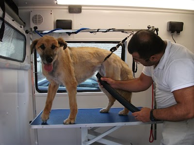 Grooming Van Image