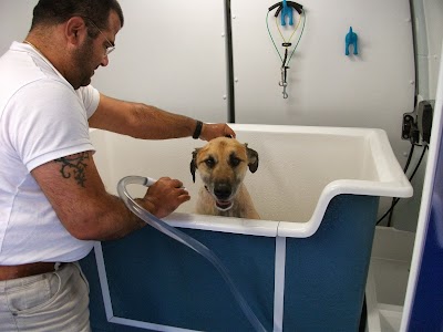 Eds & Tails Mobile Dogwash