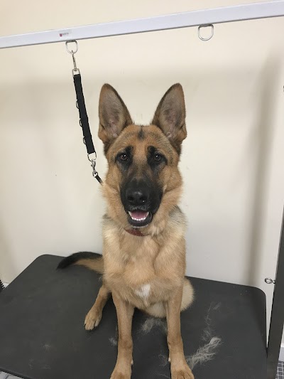 Fishponds Farm Dog Groomers