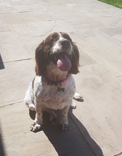 Grooming Van Image