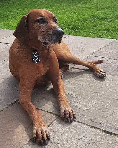 Grooming Van Image