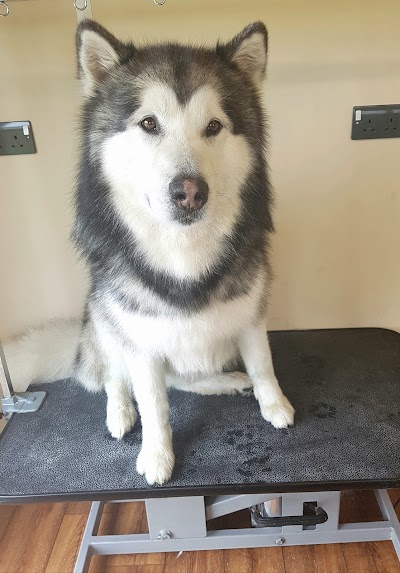 Grooming Van Image