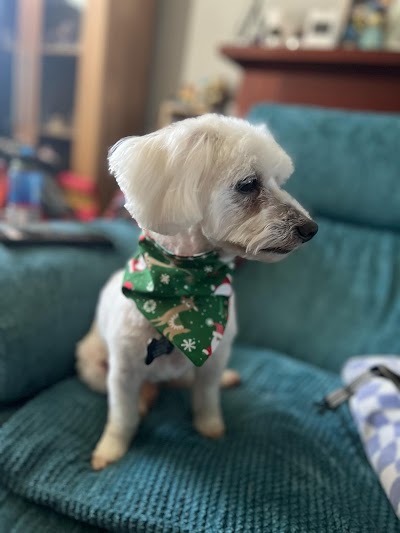 Grooming Van Image