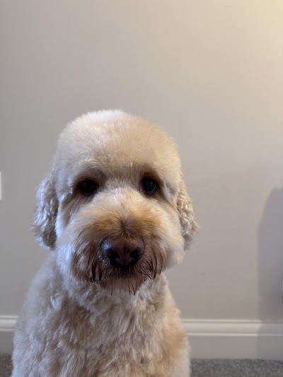 Grooming Van Image