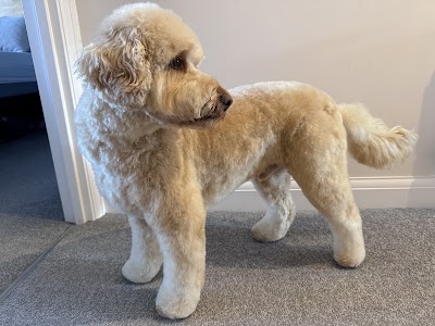 Grooming Van Image
