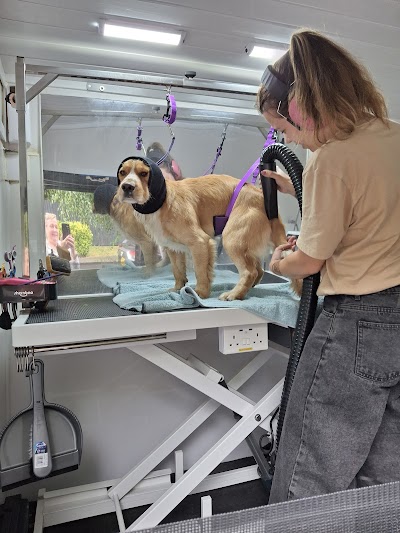 Grooming Van Image