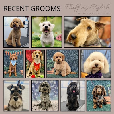 Grooming Van Image