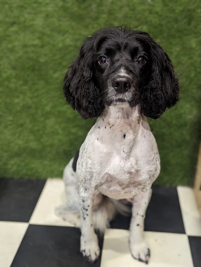 Grooming Van Image