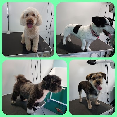 Grooming Van Image