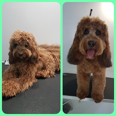 Grooming Van Image