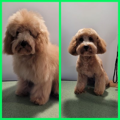 Grooming Van Image
