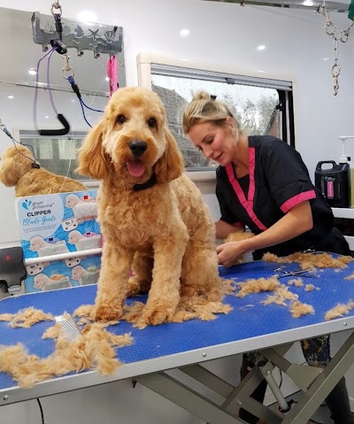 Grooming Van Image
