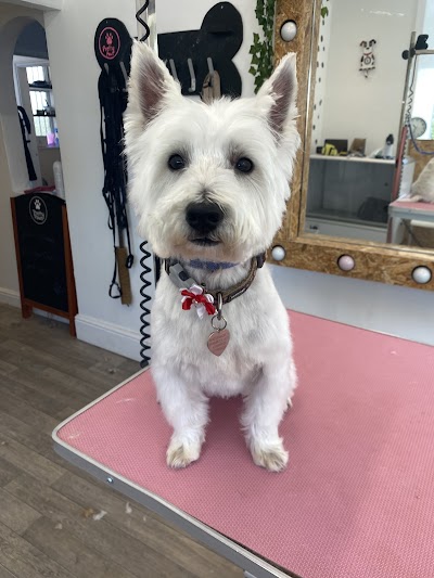 Grooming Van Image