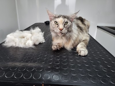 Grooming Van Image