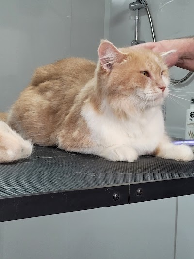 Grooming Van Image