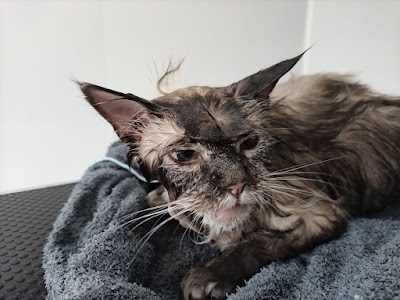 Grooming Van Image