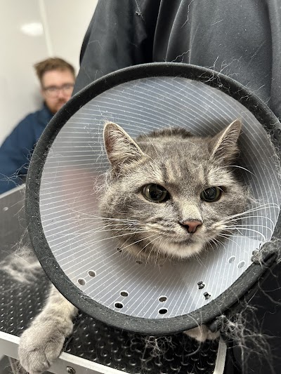 Grooming Van Image
