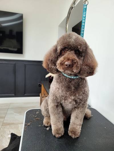 Grooming Van Image
