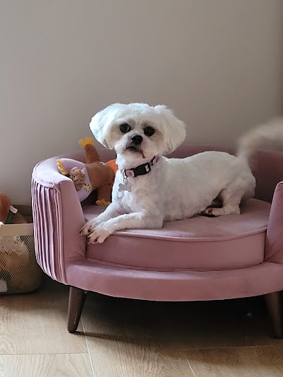 Grooming Van Image