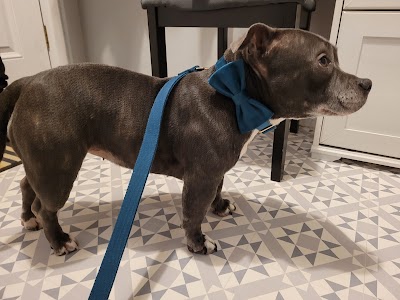 Grooming Van Image