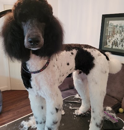 Grooming Van Image
