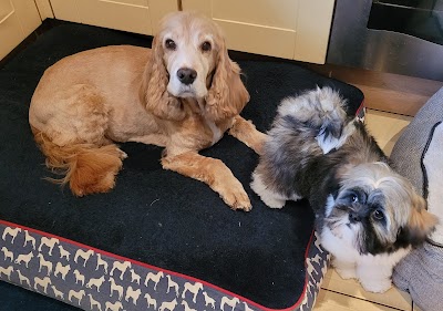 Grooming Van Image
