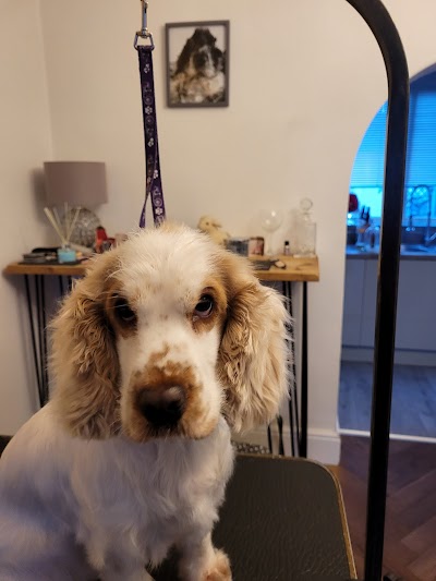Grooming Van Image