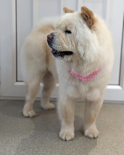 Grooming Van Image
