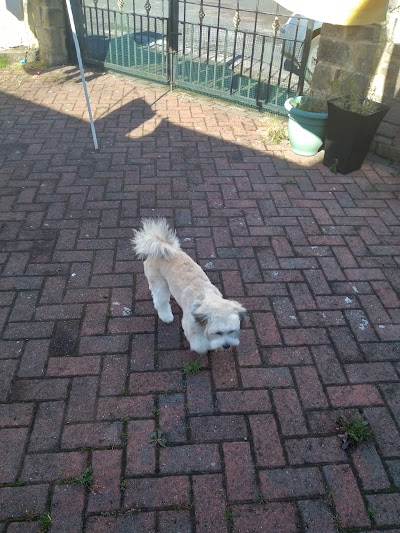 Grooming Van Image