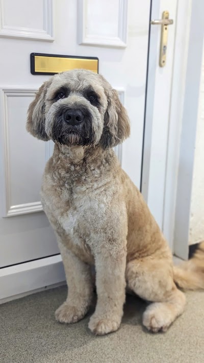 Grooming Van Image