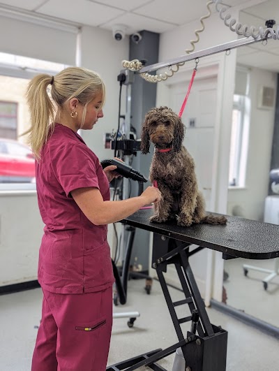 Grooming Van Image