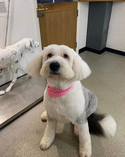 Grooming Van Image