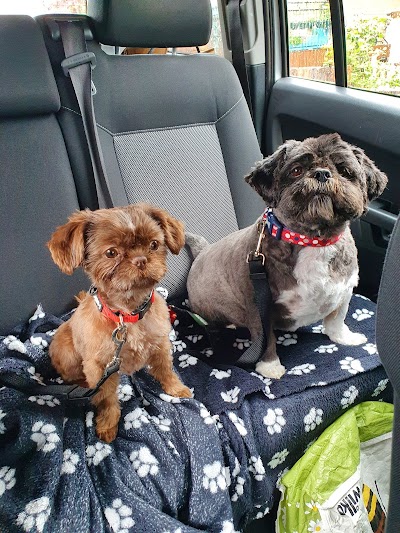 Grooming Van Image