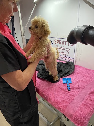 Grooming Van Image