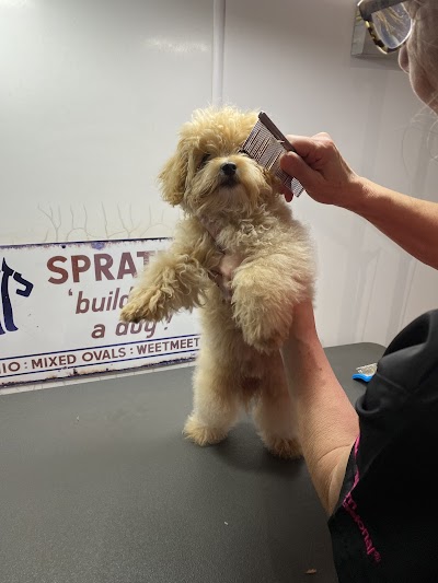 Grooming Van Image