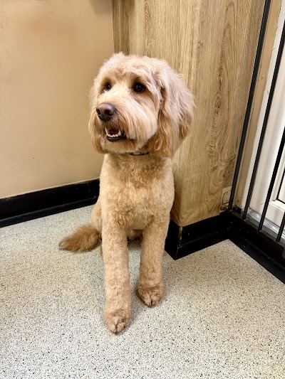 Grooming Van Image